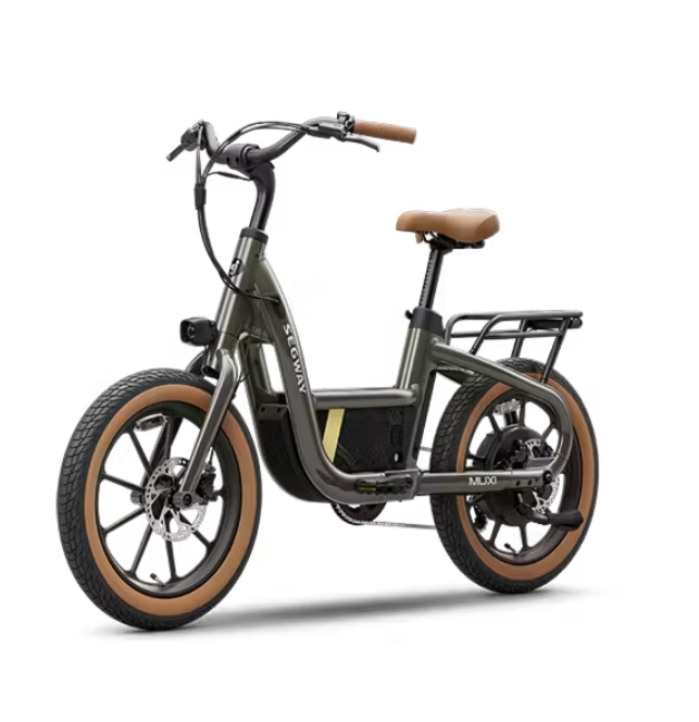 Segway MUXI