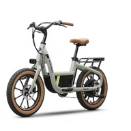 Segway MUXI