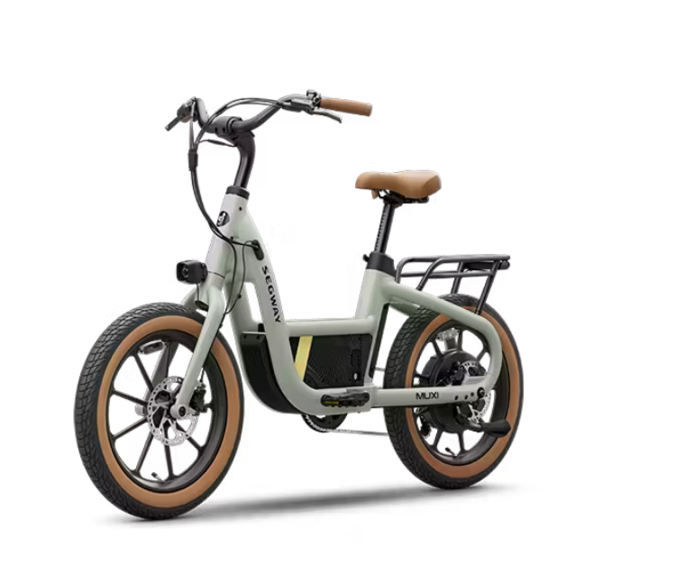 Segway MUXI