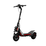 Segway eKickScooter ZT3 Pro